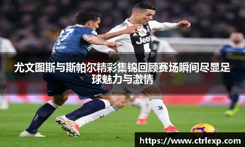 中欧体育官网